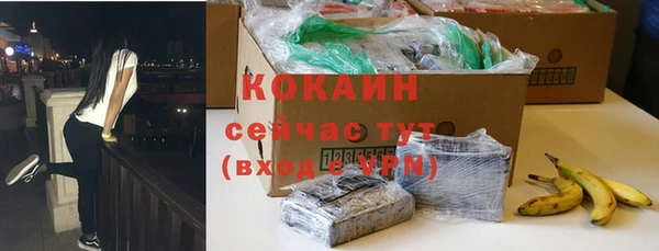 соль ск Арсеньев