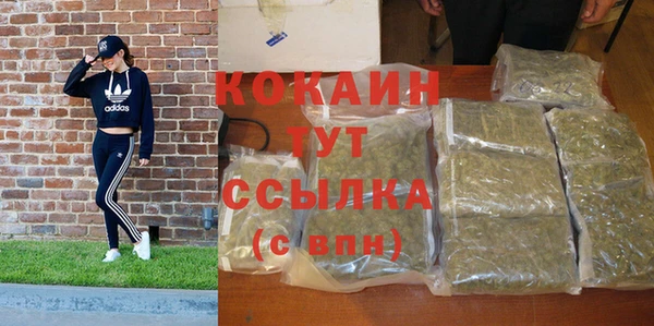 соль ск Арсеньев