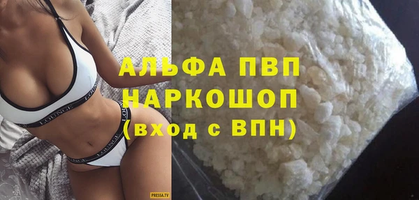 спиды Пересвет