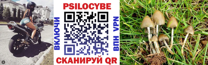 Галлюциногенные грибы MAGIC MUSHROOMS  где купить наркоту  Свирск 